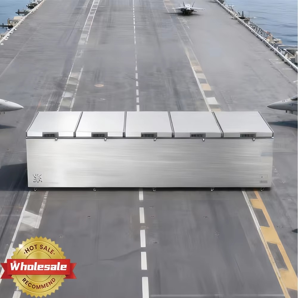 Factory Direct Horizontal Free - огляд і ціна Commercial Chest Freezer
