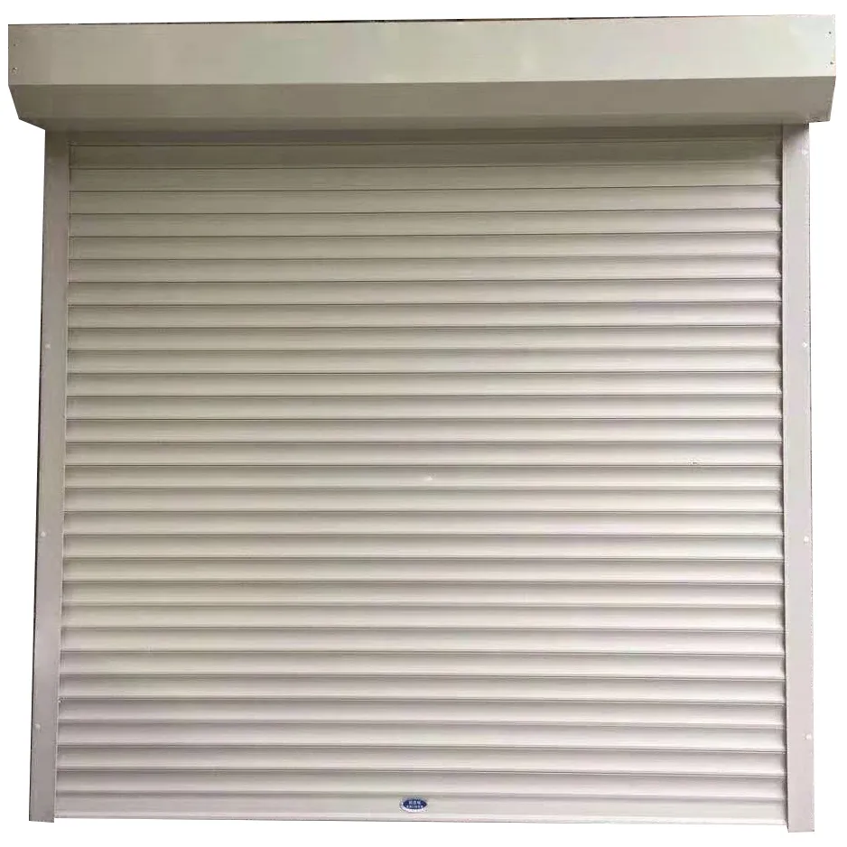 Custom Electric Plastic Door A - огляд і ціна Commercial Food Dehydrator